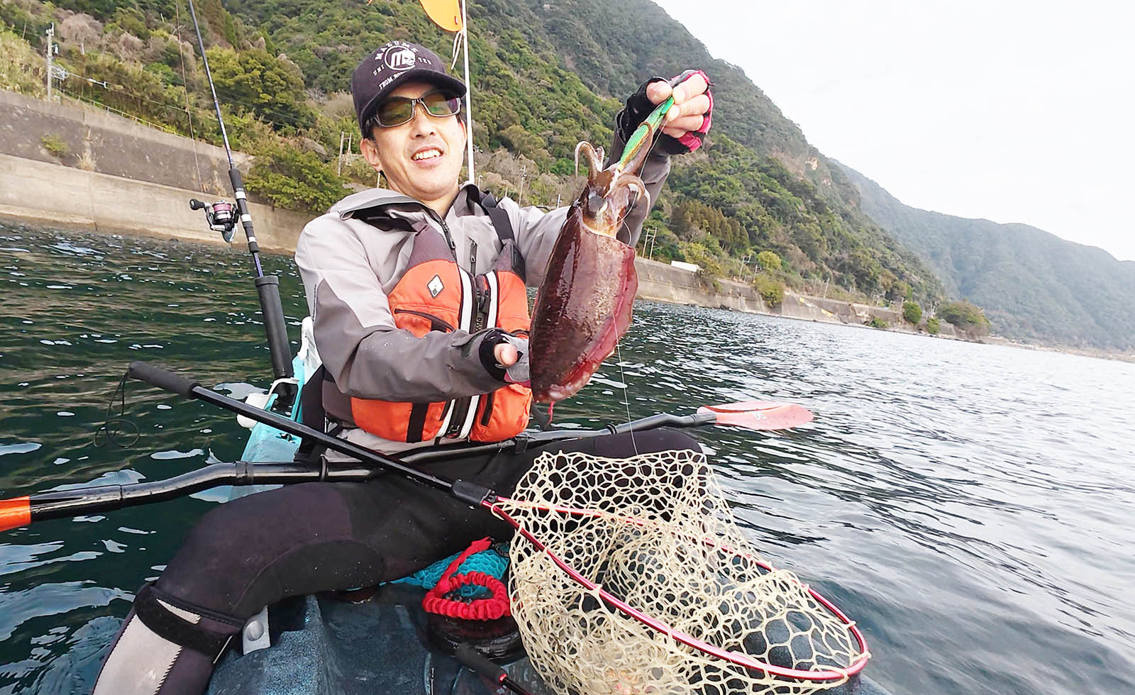 ドウニカコウイカ。