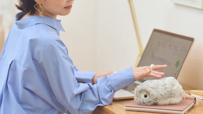 Moflin（モフリン）。